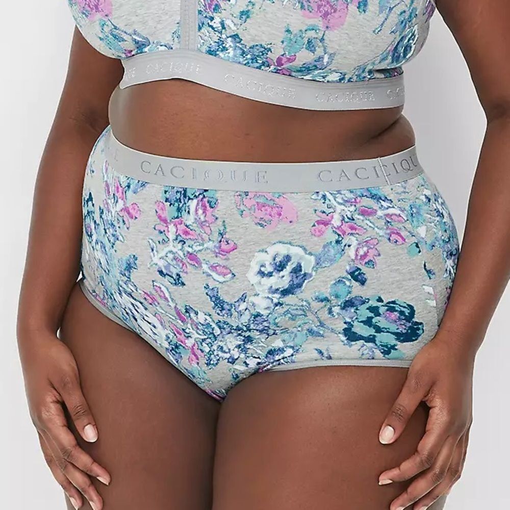 Cacique High-Waist Brief Panty Wide Waistband Blurry Rose Grey 14/16 NWT IN PKG